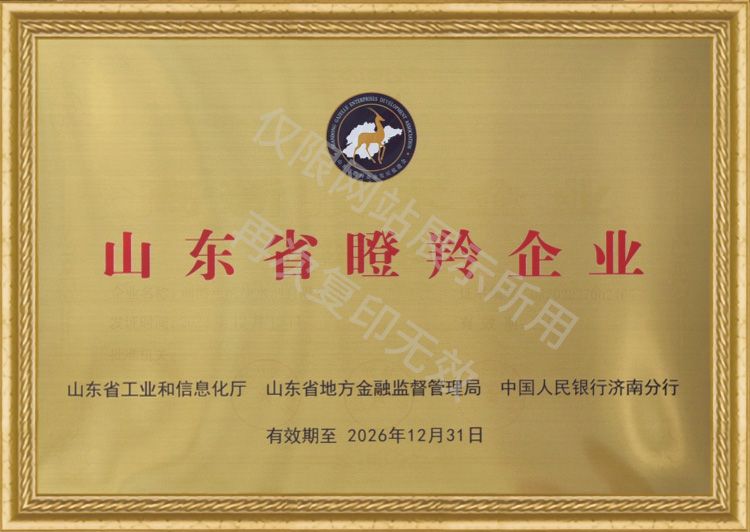 证书3 